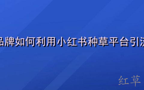 品牌如何利用小红书种草平台引流？