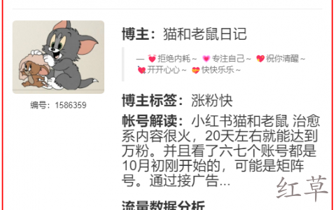小红书猫和老鼠 治愈系内容很火