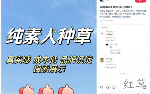 小红书代发笔记的素号从哪里招？