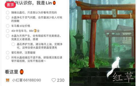 小红书丨80+笔记丨3000粉丨至少变现5位数