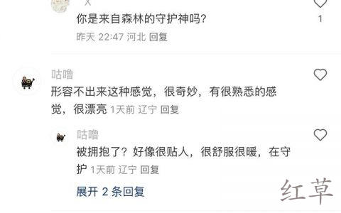 小红书卖英语学习资料60w+