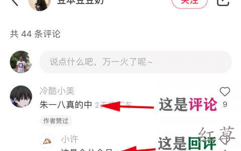 截评引流的时候，为什么有些主评不可复制变灰了，而另一些则反之。
