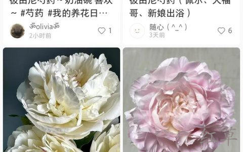 小红书只要品质好，稀缺，高客单品是真可以，提供个思路