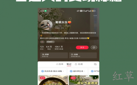 蜜桃女生的养生之道普通人的变现秘籍