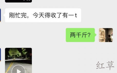 临近大学生毕业季校园业务提上日程