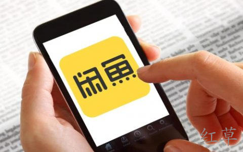 闲鱼是什么意思?