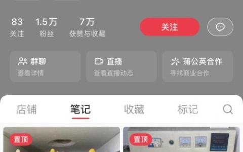 手捏陶瓷小怪兽单品收入10万+