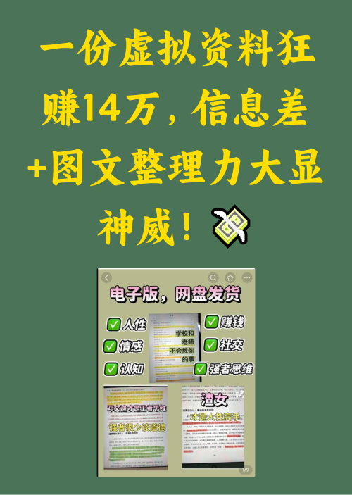 一份虚拟资料狂赚14万，图文整理大显神威