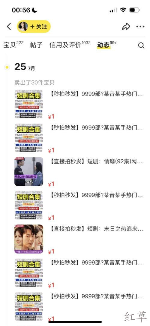 小红书➕闲鱼，卖短剧合集，单链接变现2.2w