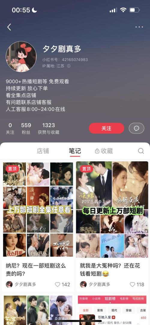小红书➕闲鱼，卖短剧合集，单链接变现2.2w