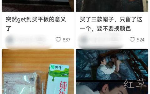 AI绘画+萌宠穿搭，太可爱了