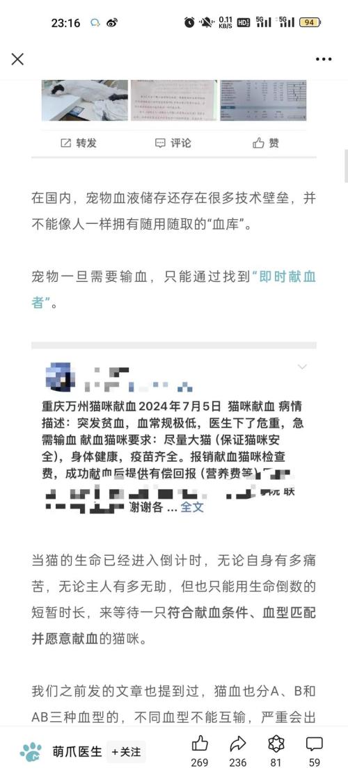 宠物献血主人是非常舍得为宠物花钱的