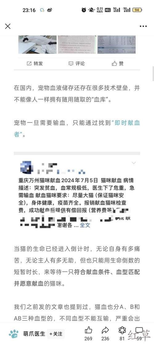 宠物献血主人是非常舍得为宠物花钱的