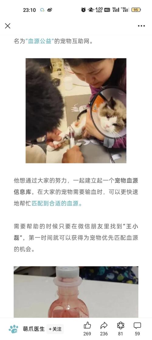 宠物献血主人是非常舍得为宠物花钱的