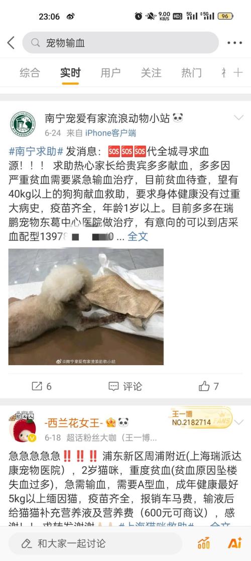 宠物献血主人是非常舍得为宠物花钱的