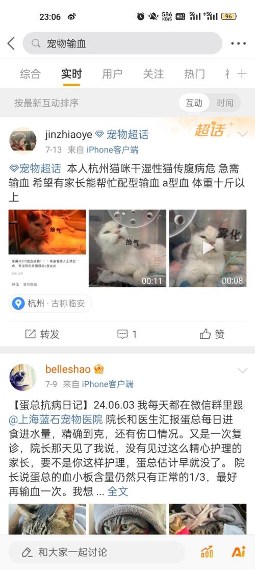 宠物献血主人是非常舍得为宠物花钱的