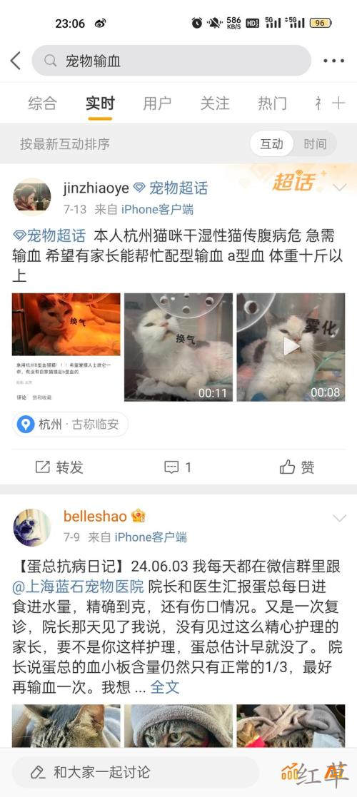 宠物献血主人是非常舍得为宠物花钱的