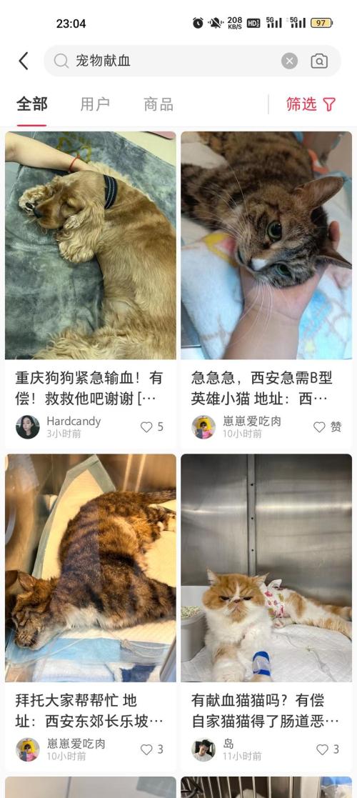 宠物献血主人是非常舍得为宠物花钱的