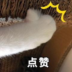 有什么比较靠谱的赚钱APP？