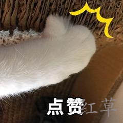 有什么比较靠谱的赚钱APP？