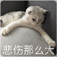 有什么比较靠谱的赚钱APP？