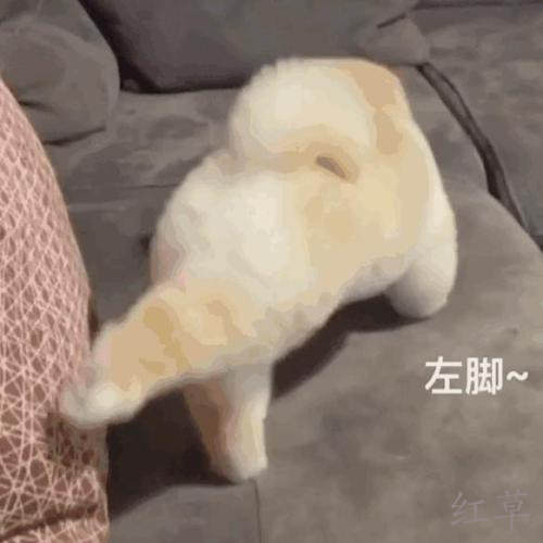 有什么比较靠谱的赚钱APP？