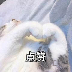 有什么比较靠谱的赚钱APP？