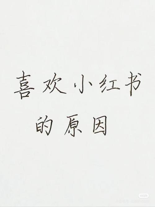 一篇笔记就实现了单日涨粉过千是什么操作