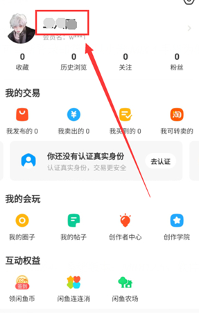 如何查看闲鱼的账号？