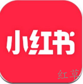 如何在小红书中举报作者？