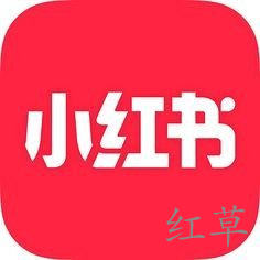 如何在电脑上玩小红书app?