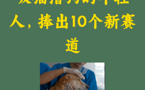 吸猫撸狗的年轻人，捧出10个新赛道
