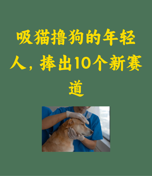 吸猫撸狗的年轻人，捧出10个新赛道