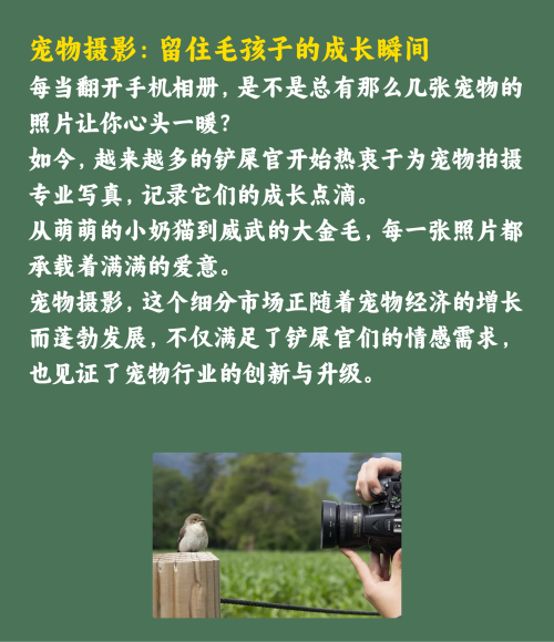 吸猫撸狗的年轻人，捧出10个新赛道