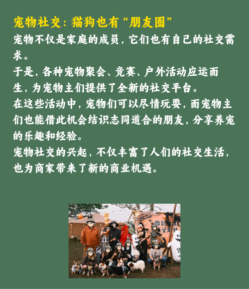 吸猫撸狗的年轻人，捧出10个新赛道