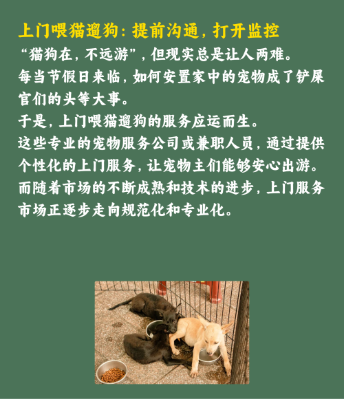 吸猫撸狗的年轻人，捧出10个新赛道