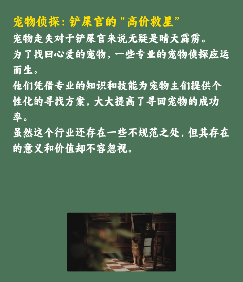 吸猫撸狗的年轻人，捧出10个新赛道
