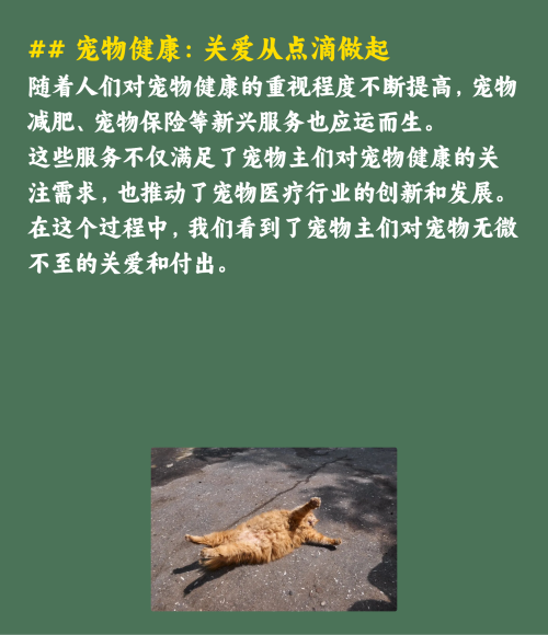 吸猫撸狗的年轻人，捧出10个新赛道