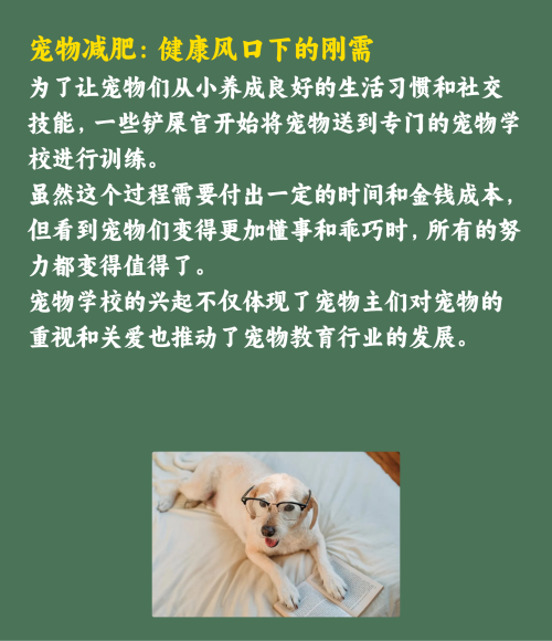 吸猫撸狗的年轻人，捧出10个新赛道