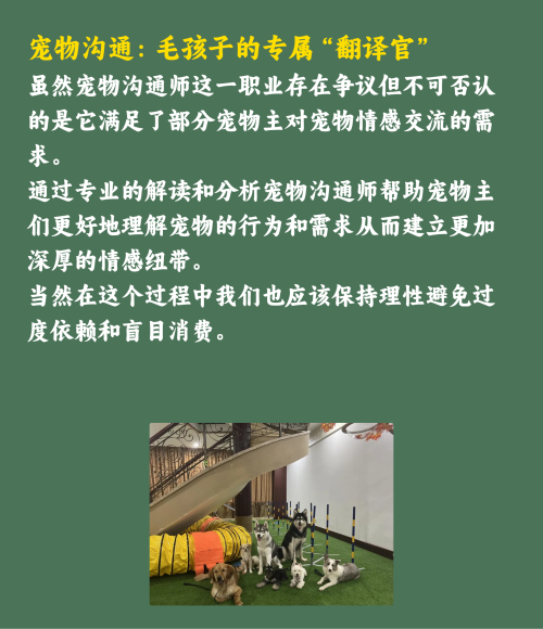 吸猫撸狗的年轻人，捧出10个新赛道