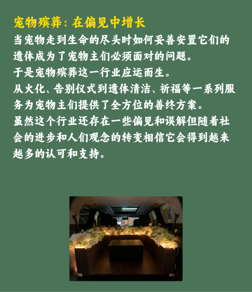 吸猫撸狗的年轻人，捧出10个新赛道