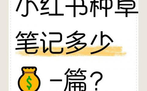 小红书种草费用概览