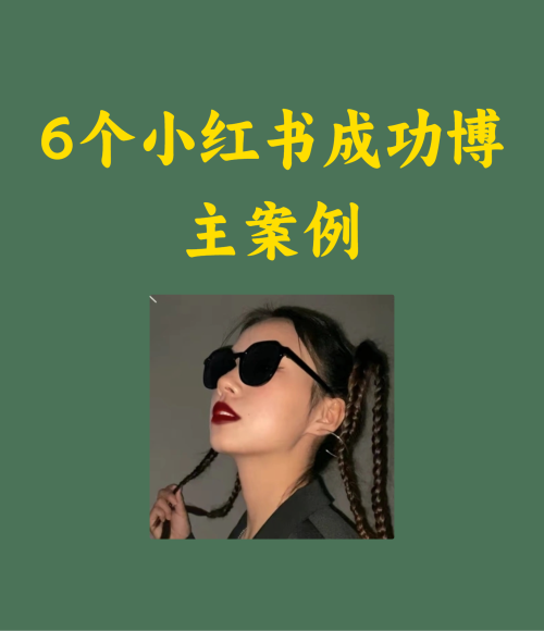 6个小红书成功博主案例