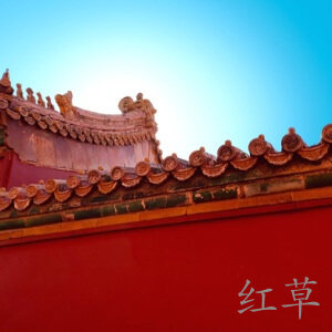 小红书举报机制的高效性体现在哪里？
