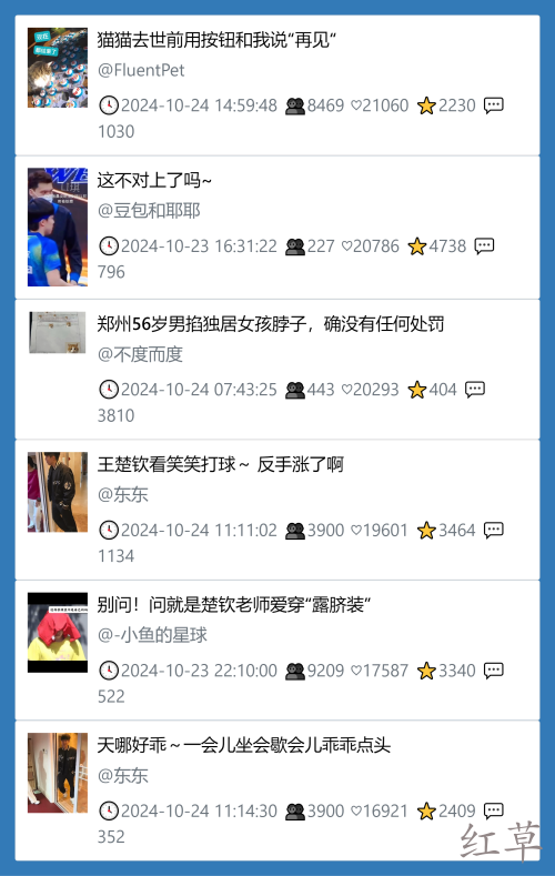 小红书今天低粉爆文笔记