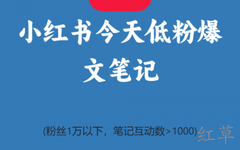 小红书今天低粉爆文笔记