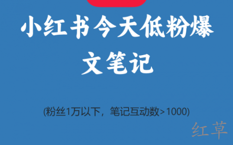 小红书今天低粉爆文笔记