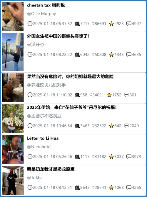 小红书今天低粉爆文笔记