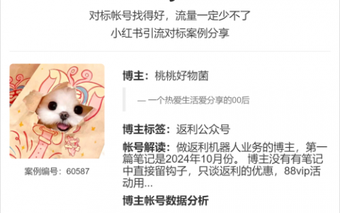 做返利机器人业务的博主