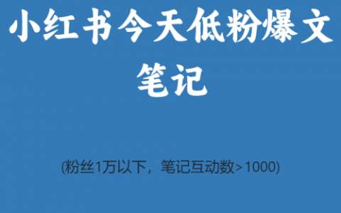 小红书今天低粉爆文笔记